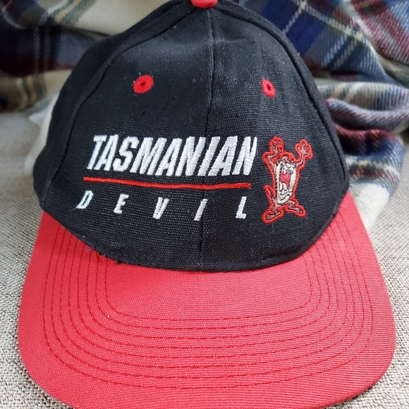 Vintage Other - VTG Tasmanian Devil hat